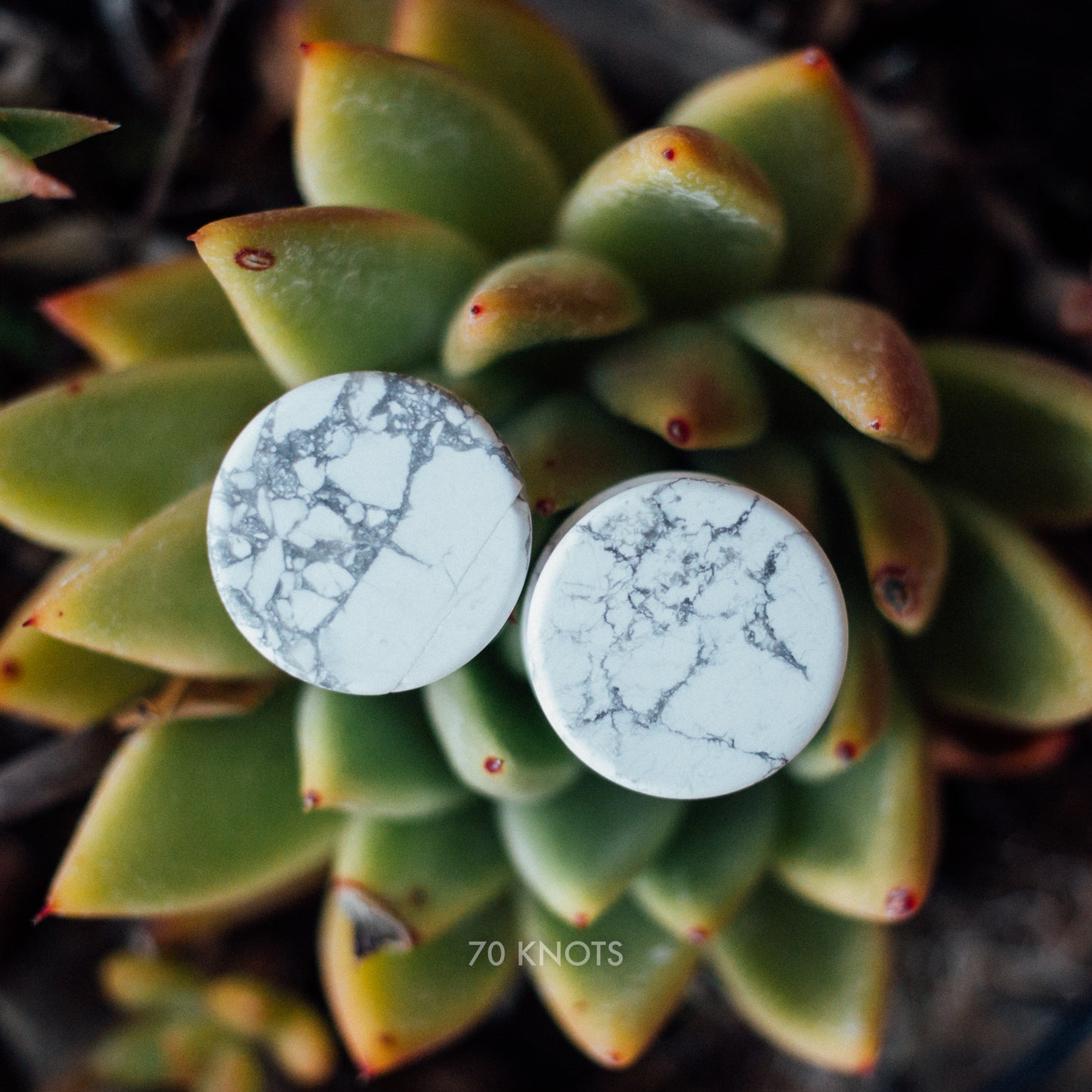 Natural White Howlite Plugs, Double Flared Pair, Organic Plugs - 70 Knots