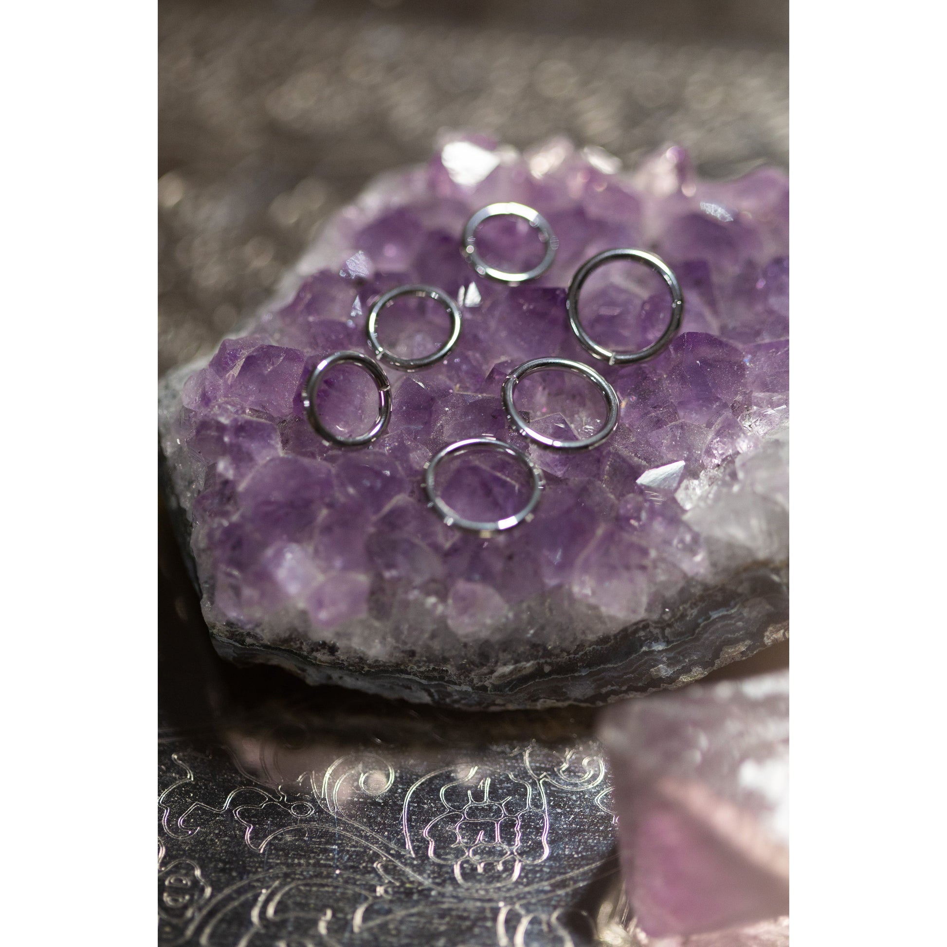 316L Stainless Steel Hinged "Clicker" Segment Ring:  Hoop:  16g, 8mm, 6mm - 70 Knots