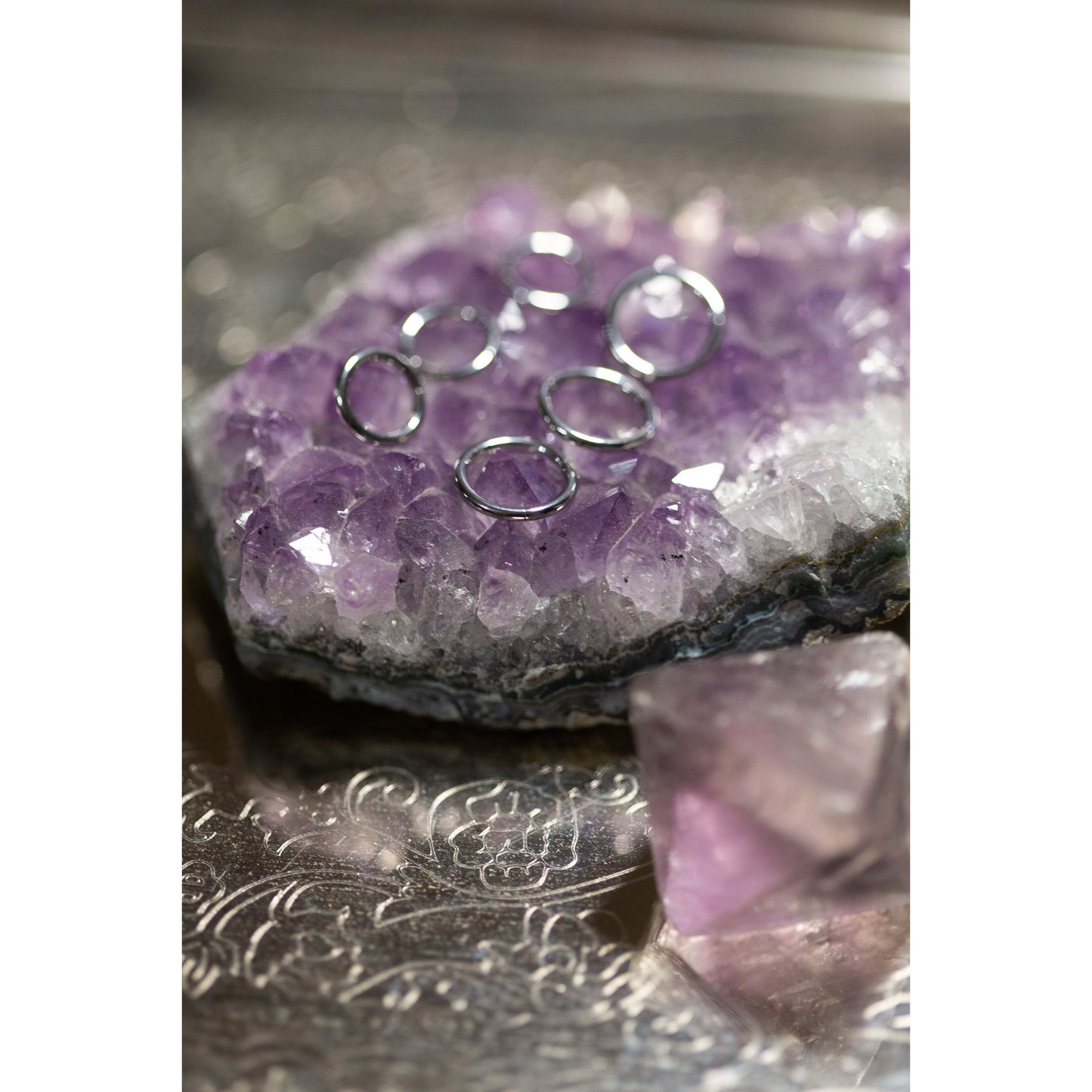 316L Stainless Steel Hinged "Clicker" Segment Ring:  Hoop:  16g, 8mm, 6mm - 70 Knots