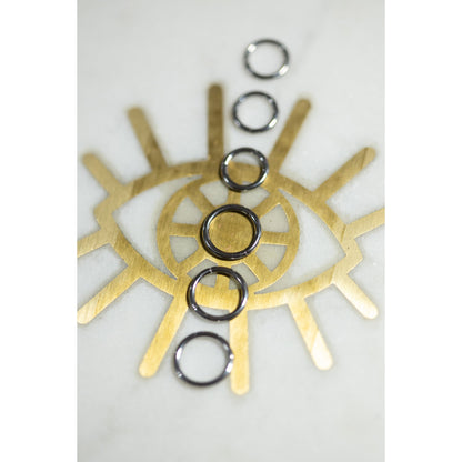 316L Stainless Steel Hinged "Clicker" Segment Ring:  Hoop:  16g, 8mm, 6mm - 70 Knots