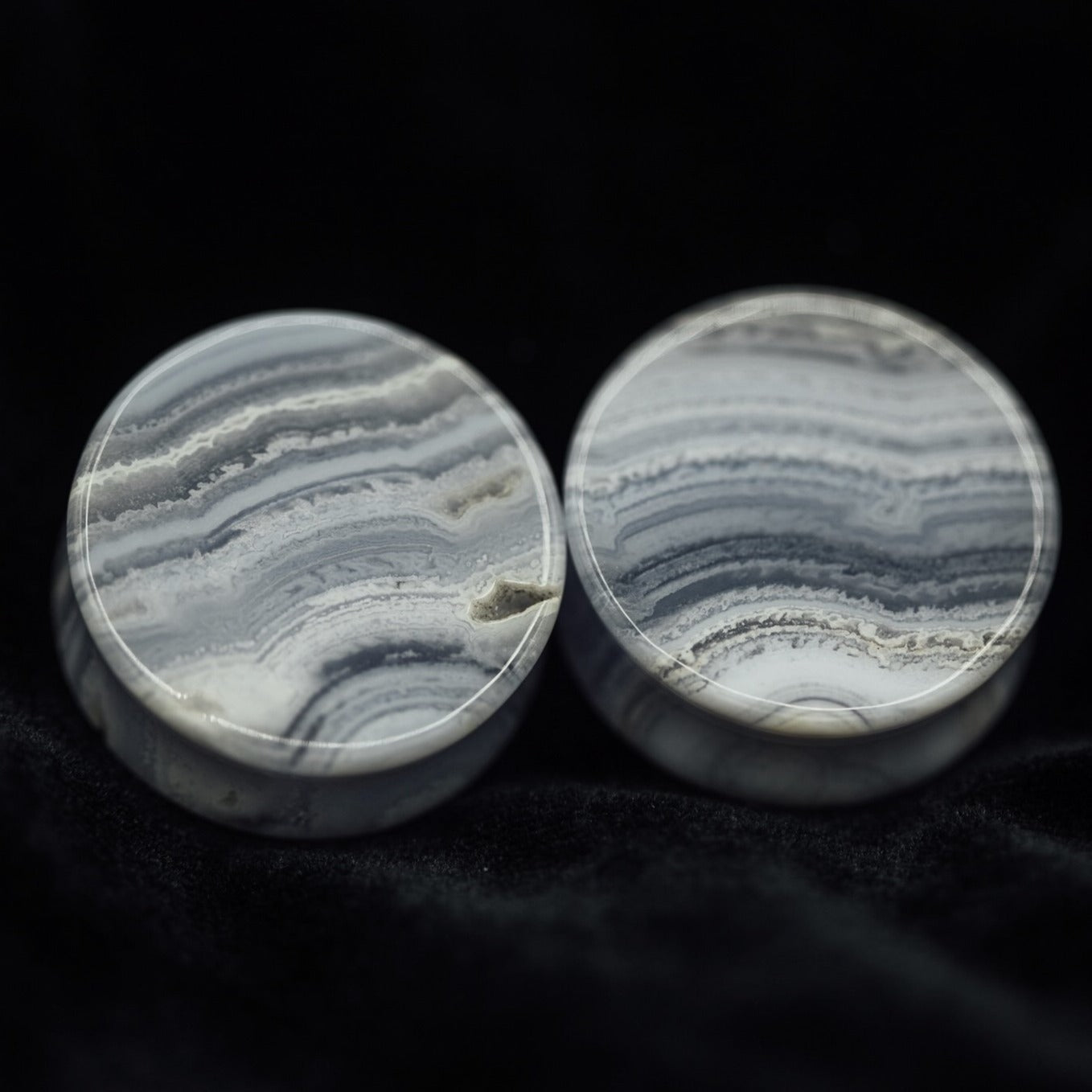 Limited Edition Blue Lace Agate Double Flared Plugs, Pair - 70 Knots