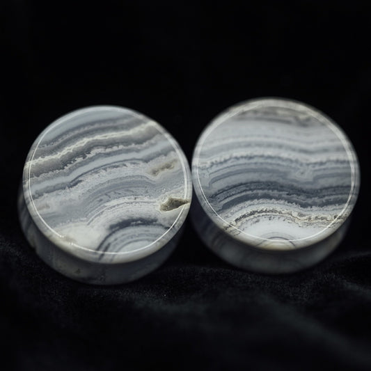 Limited Edition Blue Lace Agate Double Flared Plugs, Pair - 70 Knots