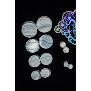 Limited Edition Blue Lace Agate Double Flared Plugs, Pair - 70 Knots