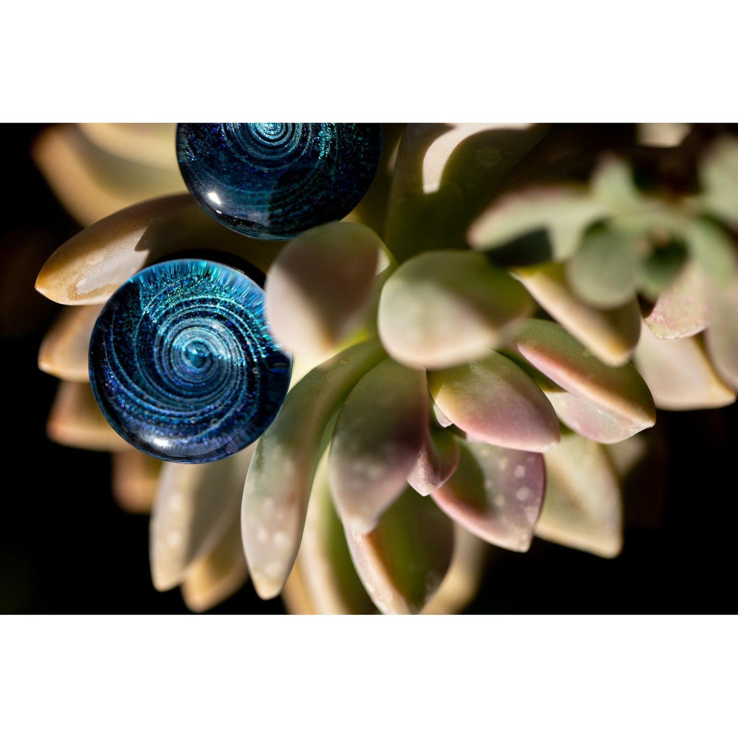 Dichroic Glass Double Flared Galaxy Plugs, Pair of Teal/Blue - 70 Knots