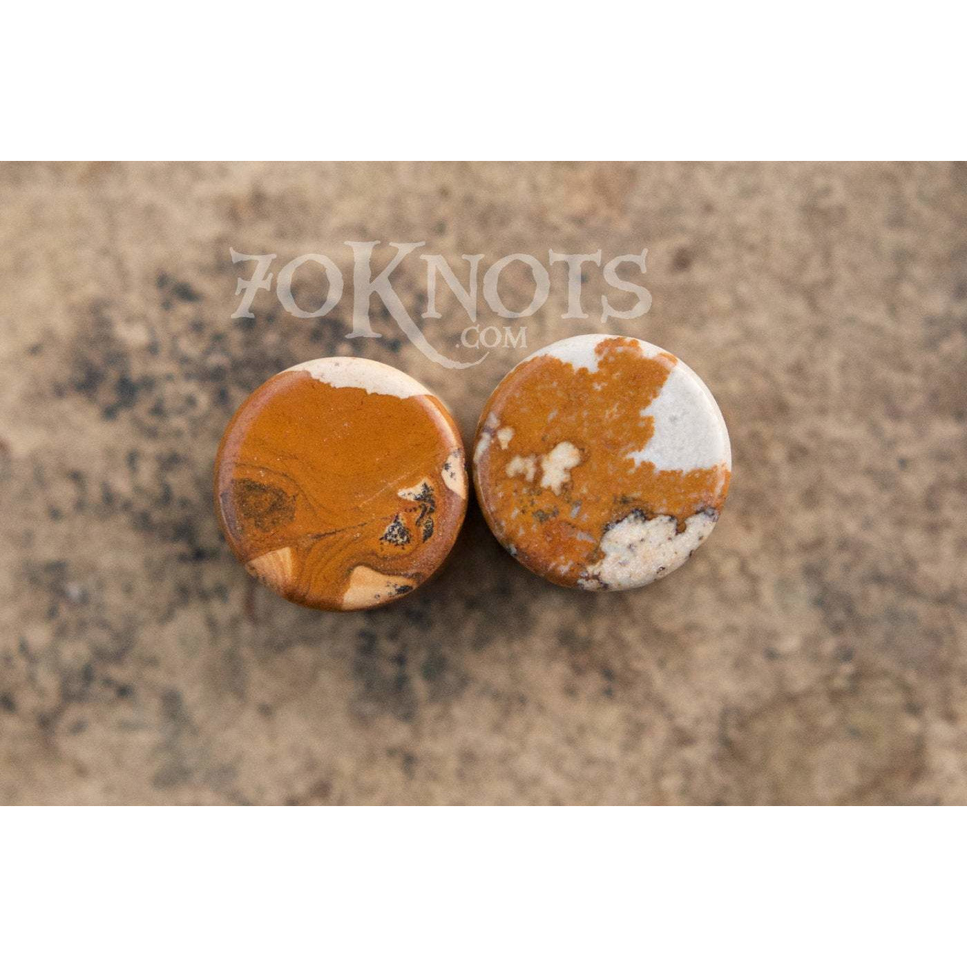 Picture Jasper Double Flared Plugs, Pair - 70 Knots