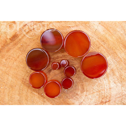 Red Agate Double Flared Plugs, Pair - 70 Knots