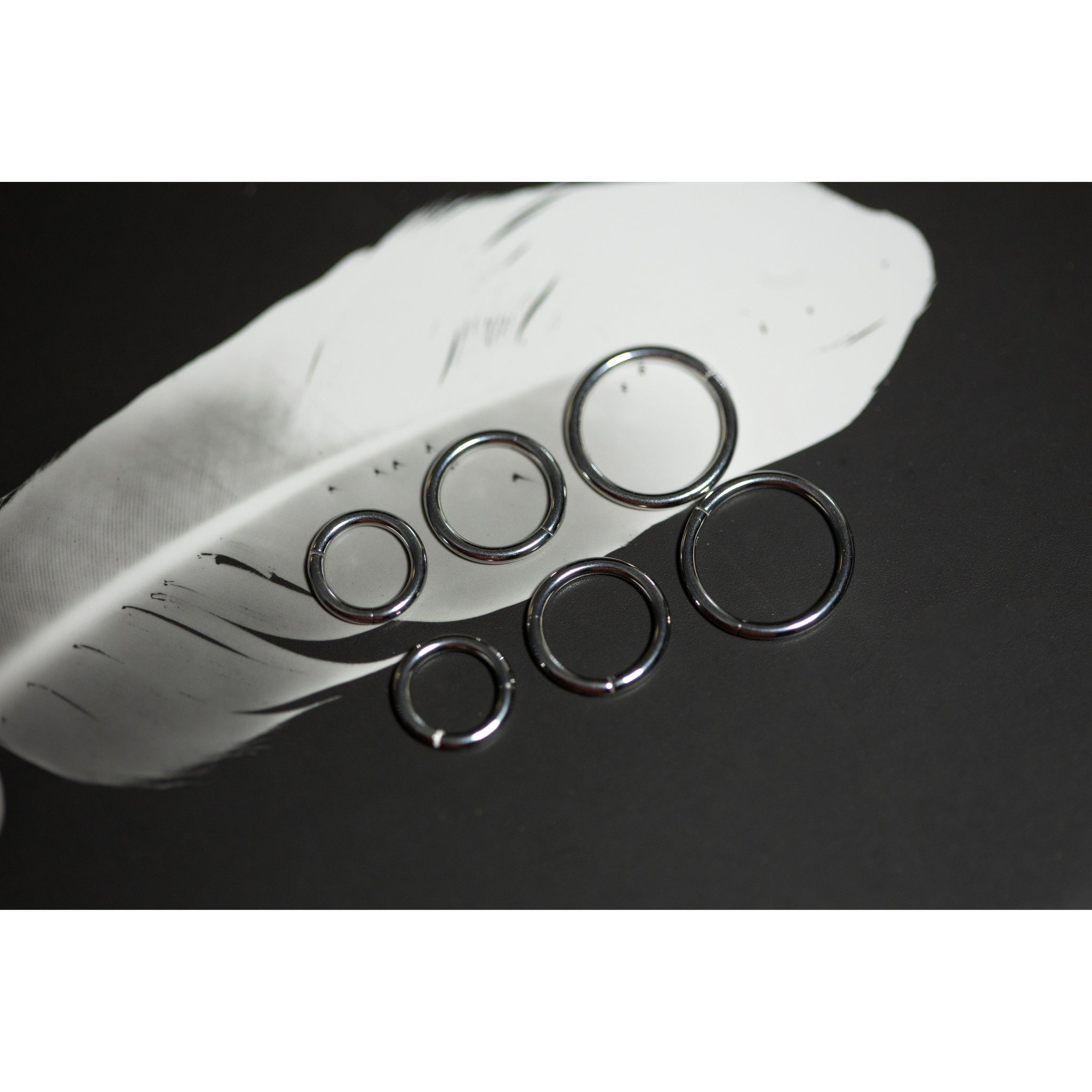 316L Stainless Steel Hinged "Clicker" Segment Ring:  Hoop:  16g, 8mm, 6mm - 70 Knots