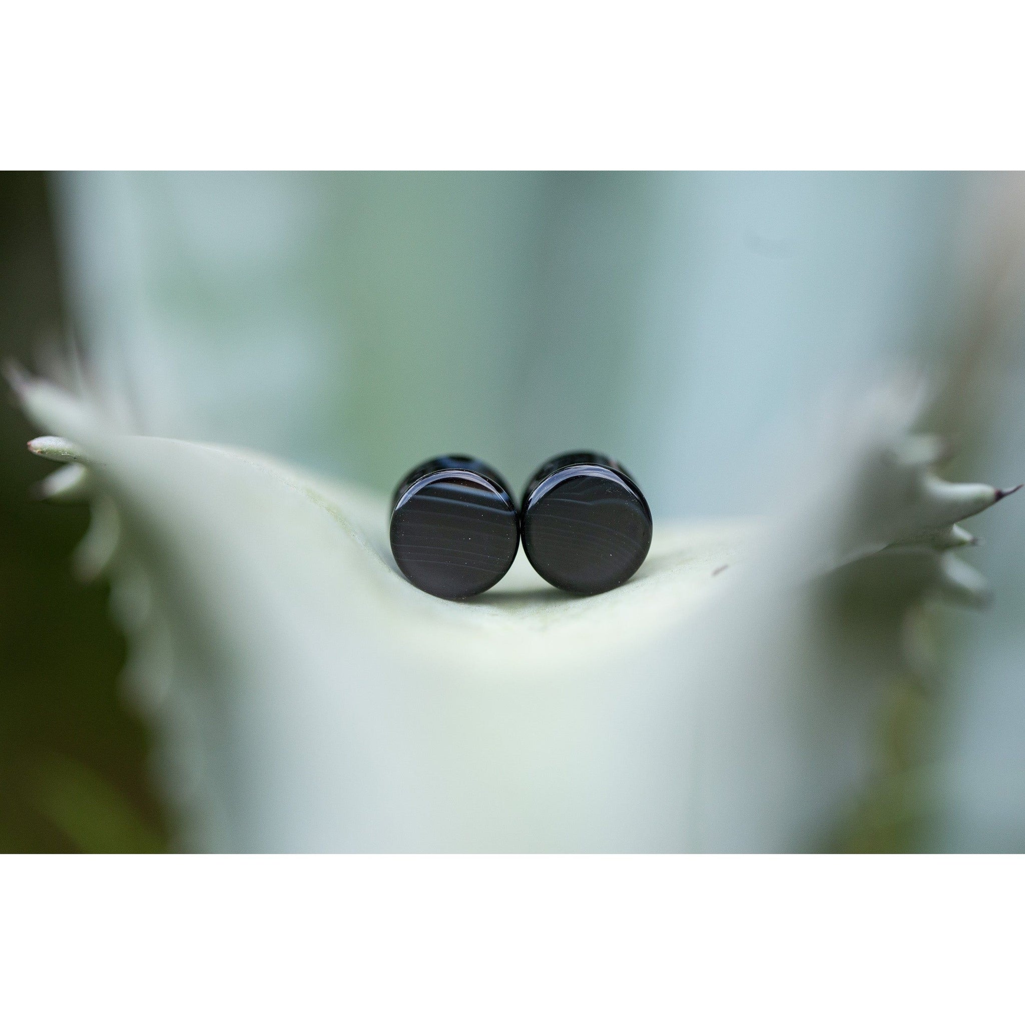 Black Striped Agate Plugs, Double Flared Pair, Organic Plugs - 70 Knots