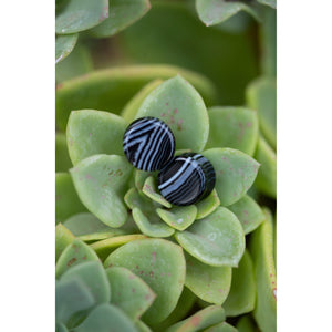 Black Striped Agate Plugs, Double Flared Pair, Organic Plugs - 70 Knots