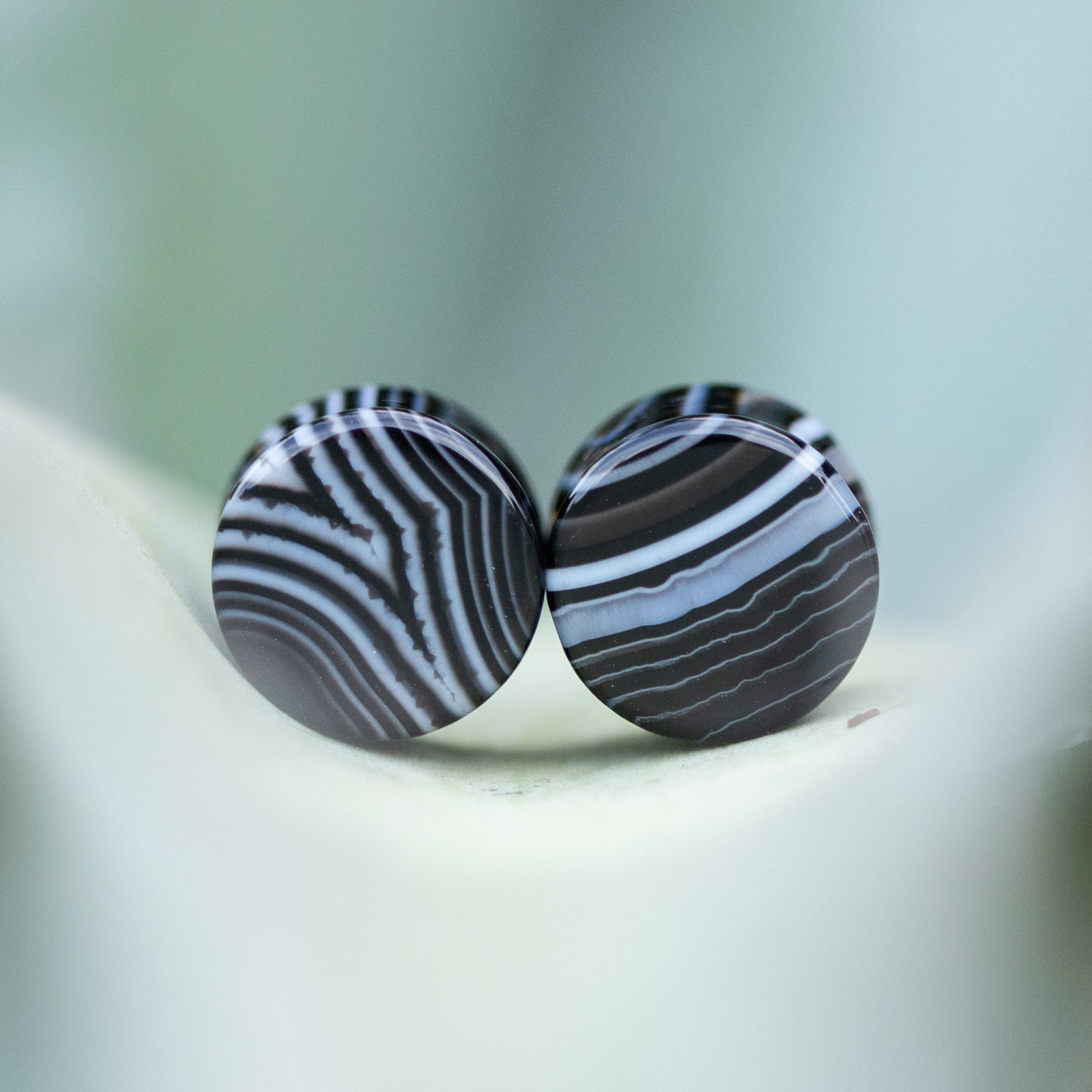 Black Striped Agate Plugs, Double Flared Pair, Organic Plugs - 70 Knots