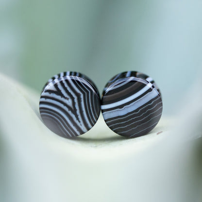Black Striped Agate Plugs, Double Flared Pair, Organic Plugs - 70 Knots