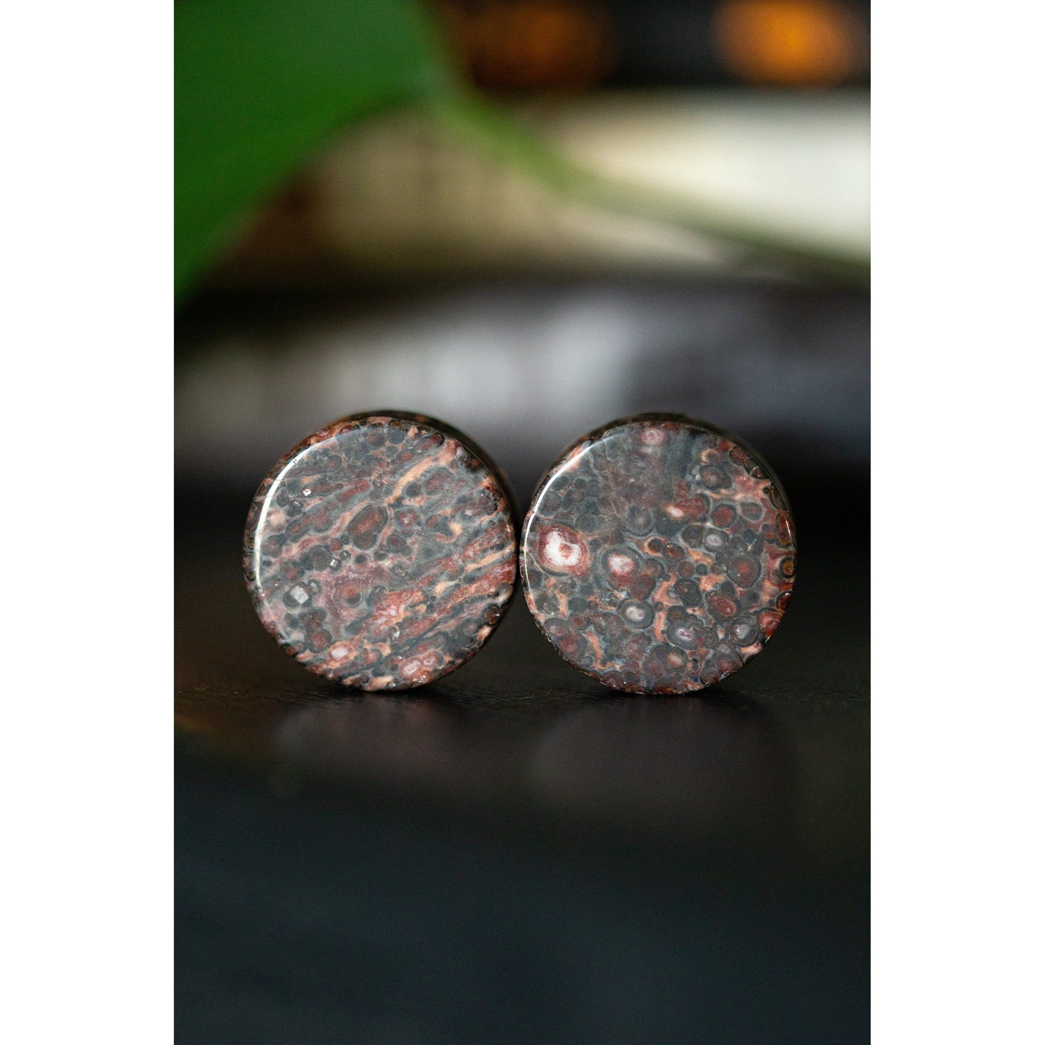 Leopard Jasper Plugs, Double Flared Pair, Organic Plugs - 70 Knots