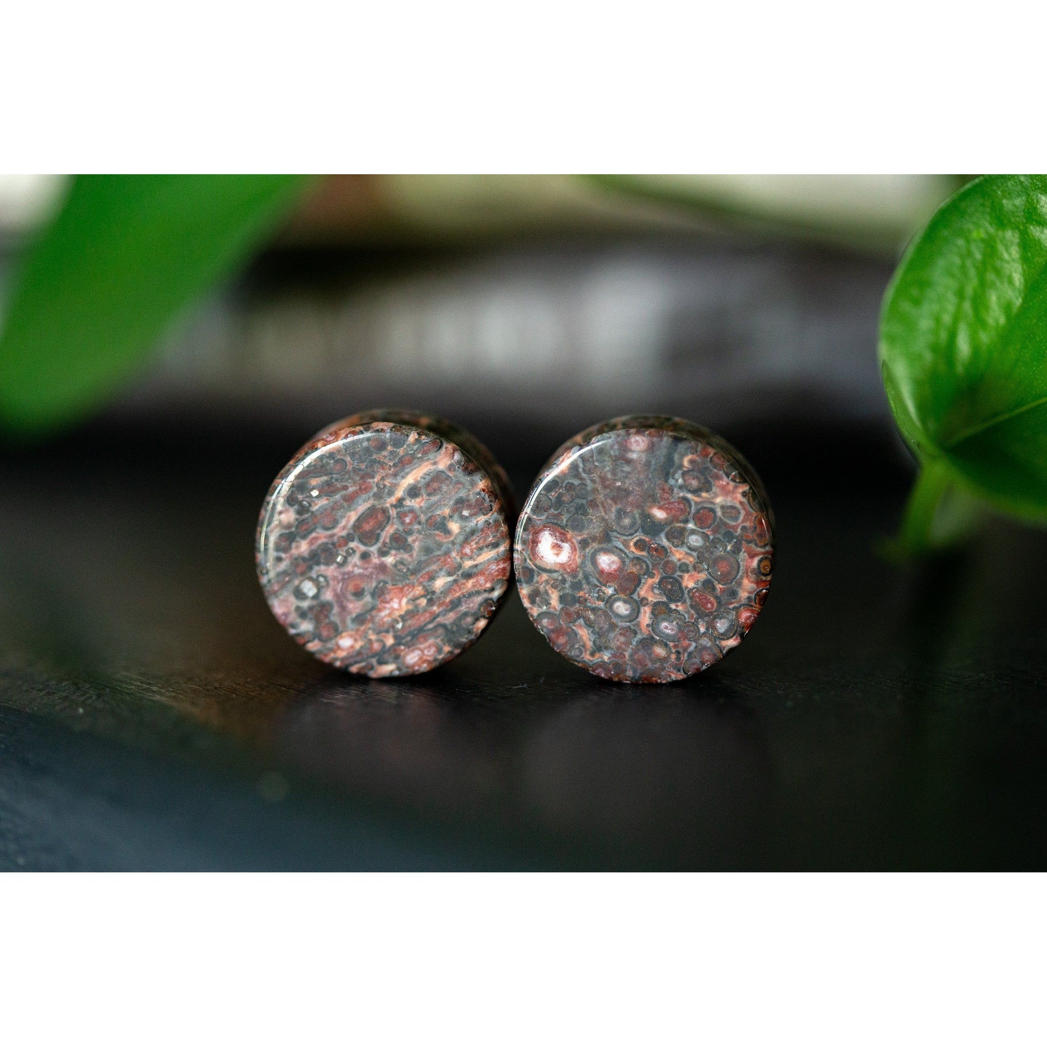 Leopard Jasper Plugs, Double Flared Pair, Organic Plugs - 70 Knots